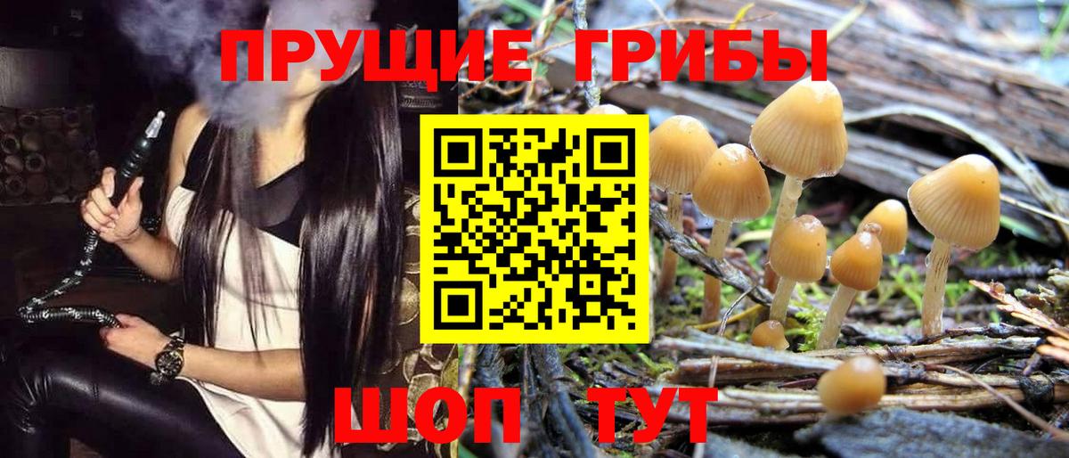 Псилоцибиновые грибы Cubensis Ивантеевка